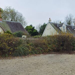 Gallery Photo 261
