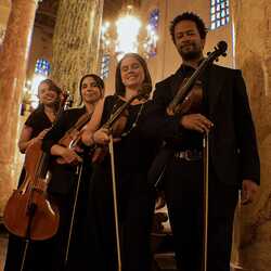 Hispano String Quartet, profile image