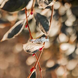 Gallery Photo 45
