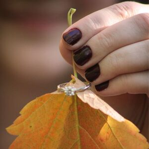 Gallery Photo 34