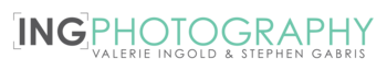 Vendor Logo