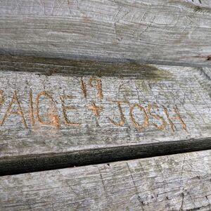 Gallery Photo 46