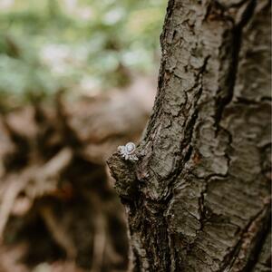 Gallery Photo 11