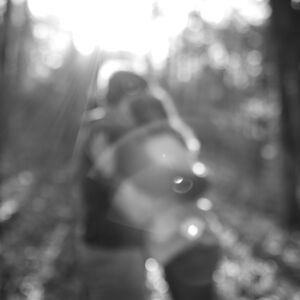Gallery Photo 7