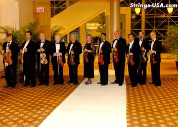 Strings-USA - Violinist - North Miami Beach, FL - Hero Main