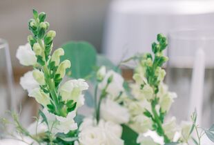 Philadelphia's Florist  Wedding Florist & Local Delivery – Green