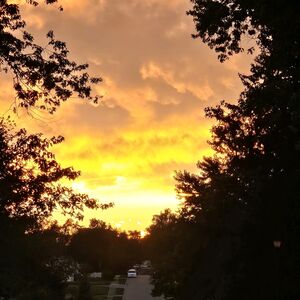 Gallery Photo 134