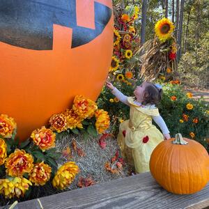 Gallery Photo 27