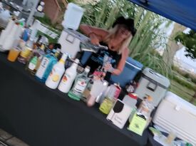Terry's  Bartenders - Bartender - Havertown, PA - Hero Gallery 1