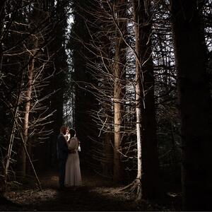 Gallery Photo 8