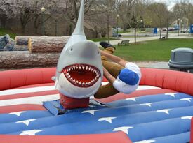 D&A Amusements LLC - Party Inflatables - Safety Harbor, FL - Hero Gallery 4