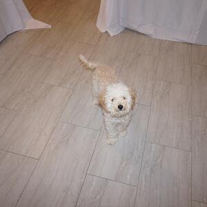 Gallery Photo 75