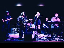 Pacific Sound Company, West Coast Yacht Rock - Classic Rock Band - Woodstock, IL - Hero Gallery 3