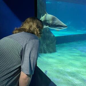 Gallery Photo 2