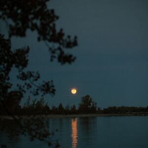 Gallery Photo 9