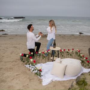 Gallery Photo 9