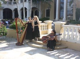 The Elegant Harp: Esther & AnnaLisa Underhay - String Quartet - West Palm Beach, FL - Hero Gallery 4