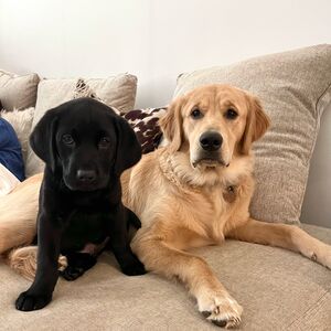 Gallery Photo 20