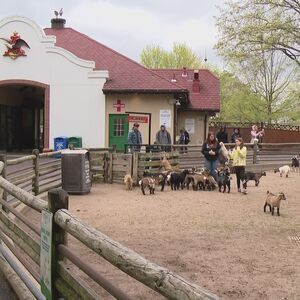 Gallery Photo 25