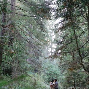 Gallery Photo 8