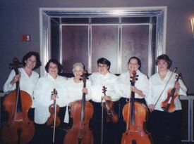 OhioStrings4Hire - String Quartet - Akron, OH - Hero Gallery 2