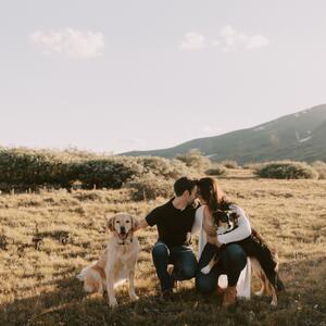 Gallery Photo 29