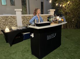 Barfly Productions - Bartender - Saint Petersburg, FL - Hero Gallery 2