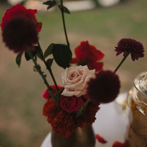 Gallery Photo 49