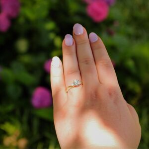Gallery Photo 21