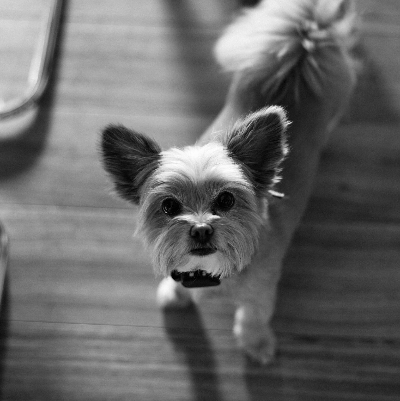 photo