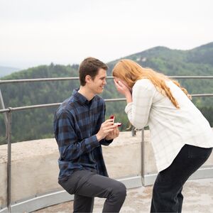 Gallery Photo 5