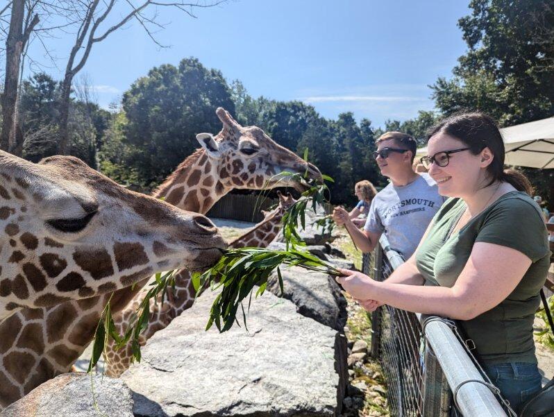 We went to Southwick’s Zoo, where we even got to feed the giraffes! 🦒☀️
