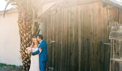 hollister barn