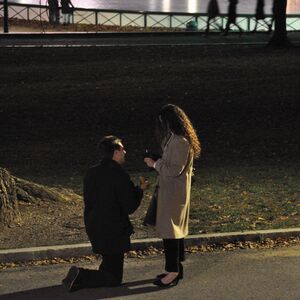 Gallery Photo 30