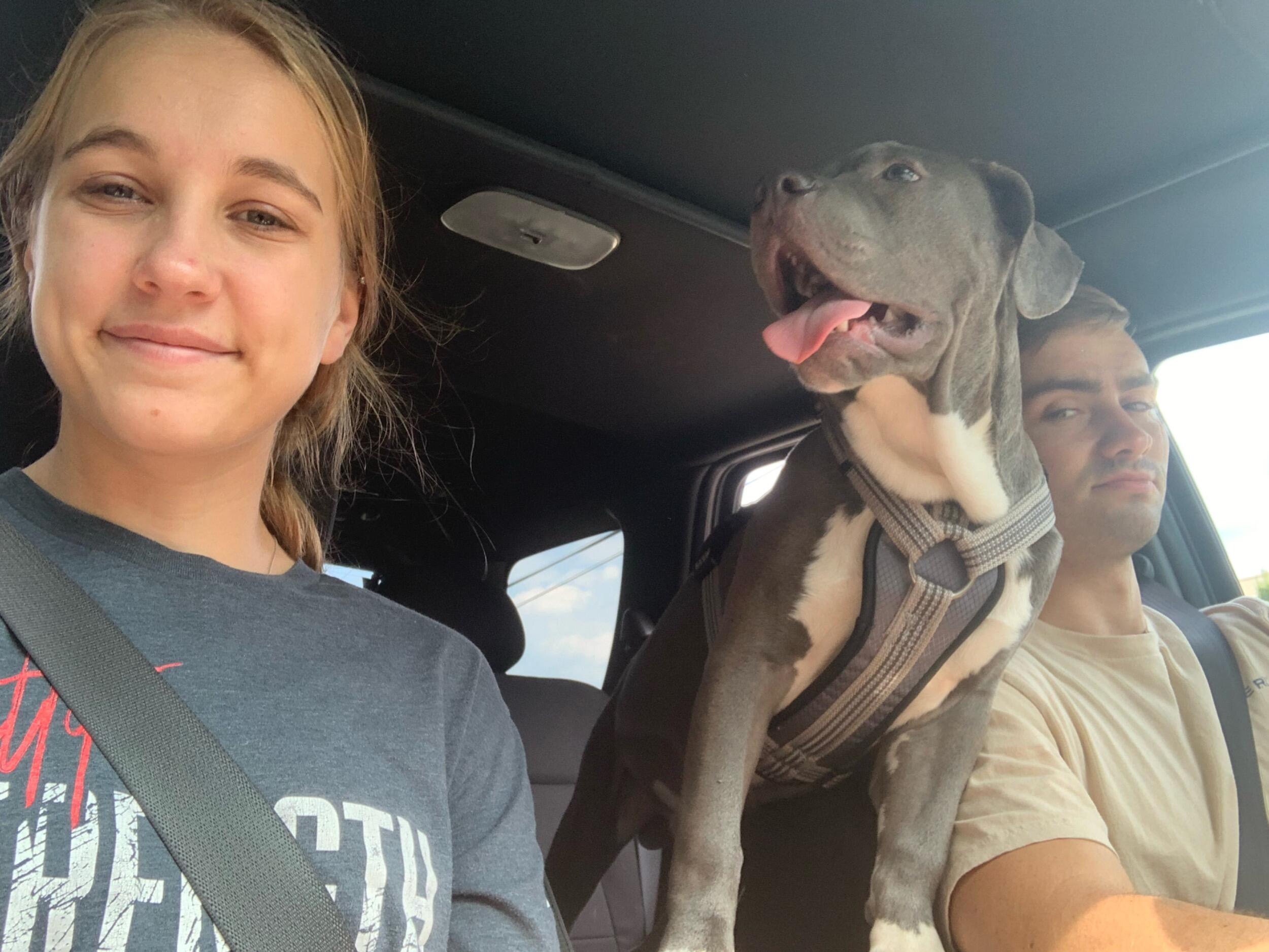Alyssa and Derick got another child (dog)-Kai.