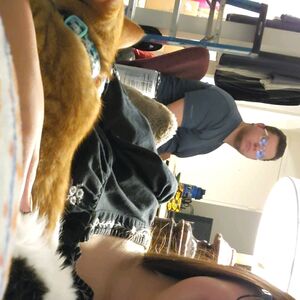Gallery Photo 29