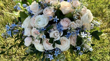 Wildflowers Florist & Gifts | Florists - The Knot