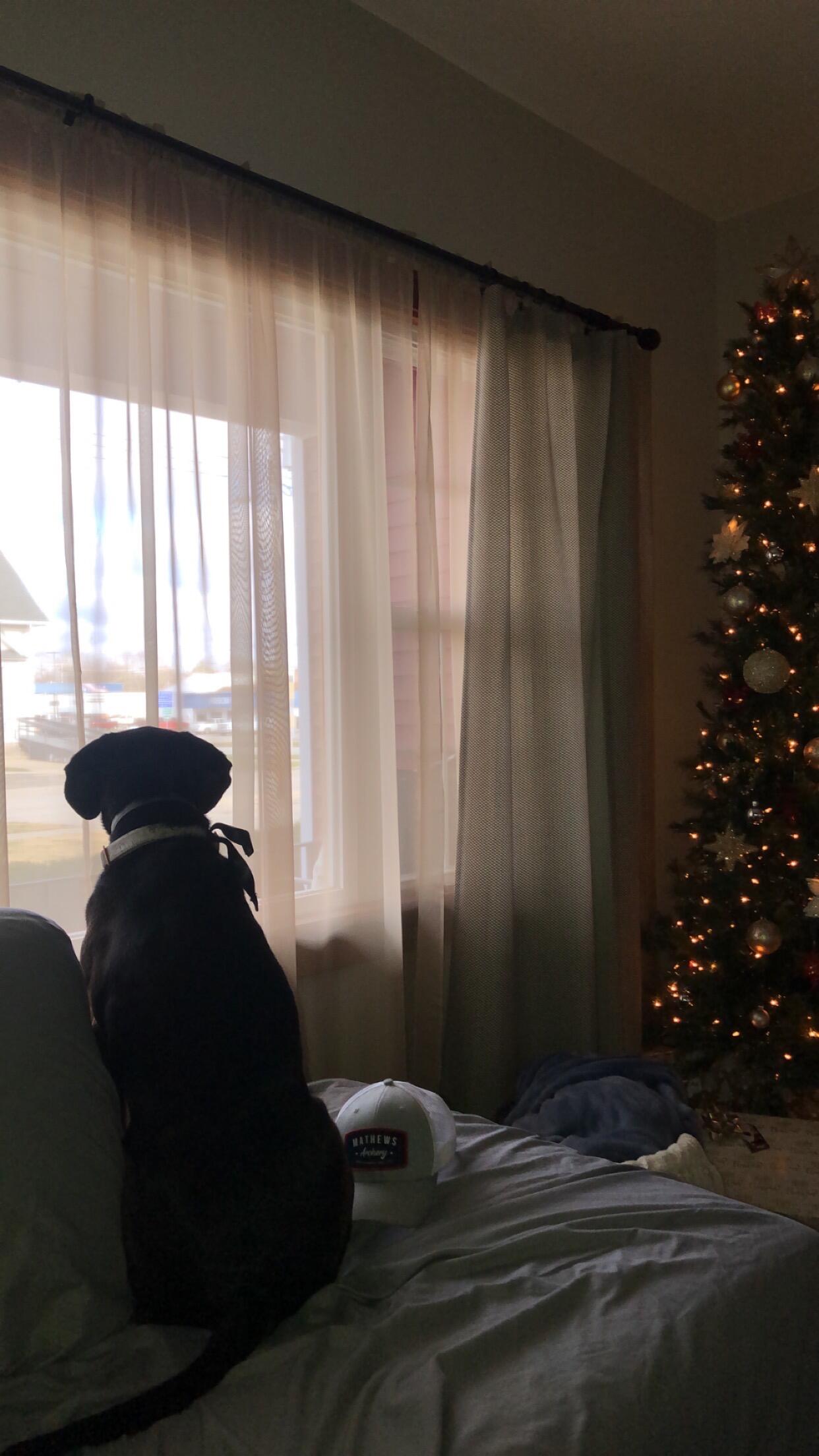 Bella survived her first weekend staying at Miranda's house