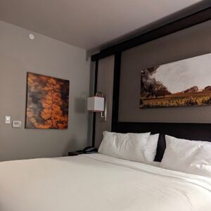 Gallery Photo 5