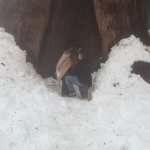 Gallery Photo 11