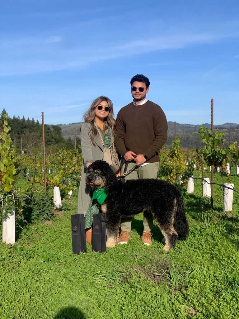 V. Sattui Winery 