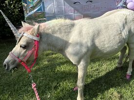 Fancy Pony Parties - Pony Rides - Stockton, CA - Hero Gallery 3