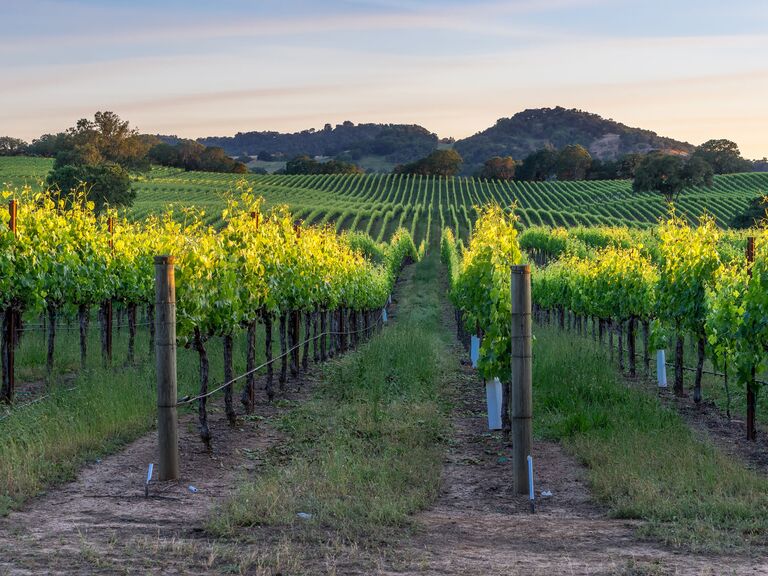 Sonoma winery california