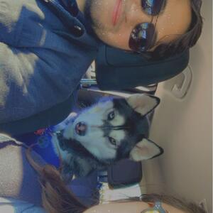 Gallery Photo 22