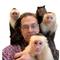 Three Monkeys Photo Circus, profile image