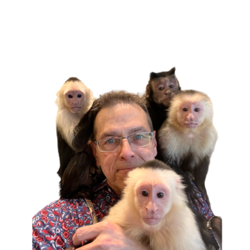 Three Monkeys Photo Emporium - Animal For A Party - Sevierville, TN - Hero Main