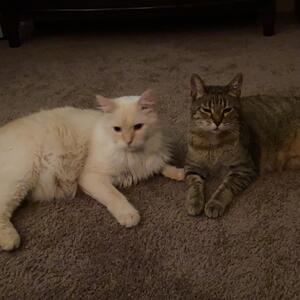 Gallery Photo 24