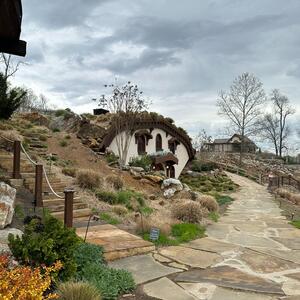 Gallery Photo 81