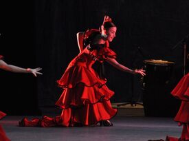 Pasion Flamenca - Flamenco Dancer - Hialeah, FL - Hero Gallery 2