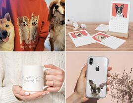 Dog sweater, dog calendar, dog mug and dog phone case gift ideas